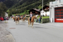Almabtrieb Gschnitz (2)