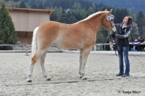 Coeychanel, Kat-Nr 287 (1)