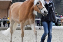 Coeychanel, Kat-Nr 287 (2)