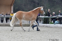 Coeychanel, Kat-Nr 287 (3)