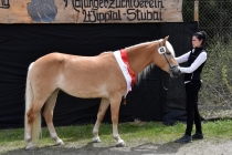 Jubiläumsausstellung HaflingerZV Wipptal-Stubai 2019 (20)