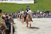 Jubiläumsausstellung HaflingerZV Wipptal-Stubai 2019 (23)