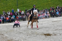 Jubiläumsausstellung HaflingerZV Wipptal-Stubai 2019 (24)