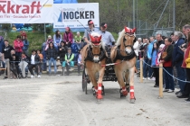 Jubiläumsausstellung HaflingerZV Wipptal-Stubai 2019 (26)