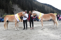 Jubiläumsausstellung HaflingerZV Wipptal-Stubai 2019 (31)