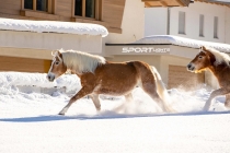 Foto 20.01.19, 19 34 15 (1)