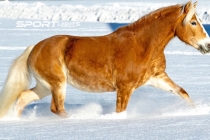 Foto 20.01.19, 19 34 15 (2)