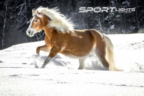 Foto 20.01.19, 19 34 15