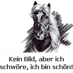 kein_bild