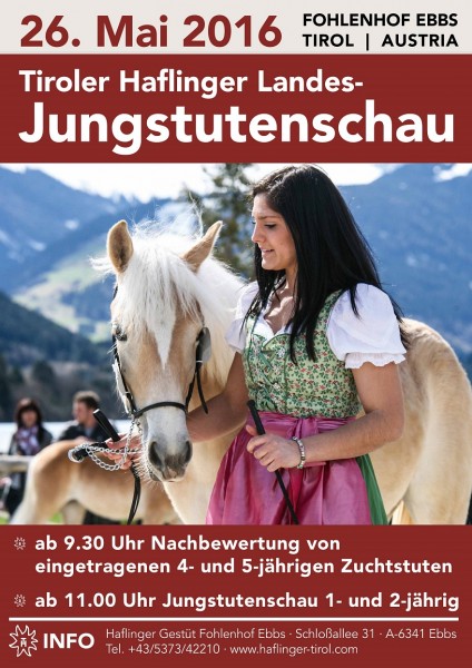 tiroler-haflinger-landes-jungstutenschau-1
