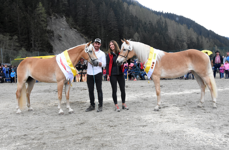 Jubiläumsausstellung HaflingerZV Wipptal-Stubai 2019 (31)